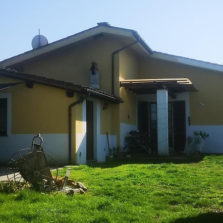 Residence Villa Ungaretti Lucca Exterior foto